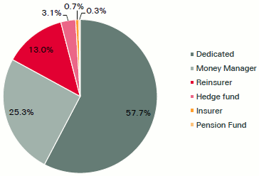 Typical catastrophe bond investor breakdown by type 2013