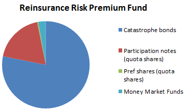 Stone Ridge Reinsurance Risk Premium Fund