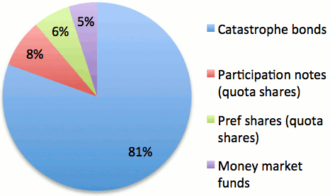 Stone Ridge Reinsurance Risk Premium Fund breakdown by type of assets managed