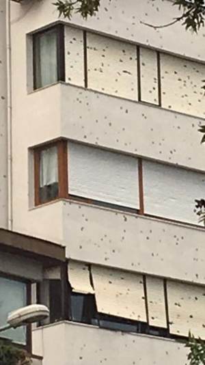 Hail damage to buildings from Turkey storm outbreak