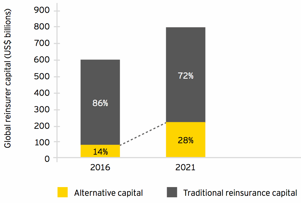 Projected development of (re)insurance capital structure by 2021 (conservative scenario)