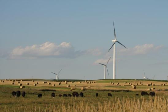 Nephila Climate and Allianz partner for fourth wind farm revenue swap