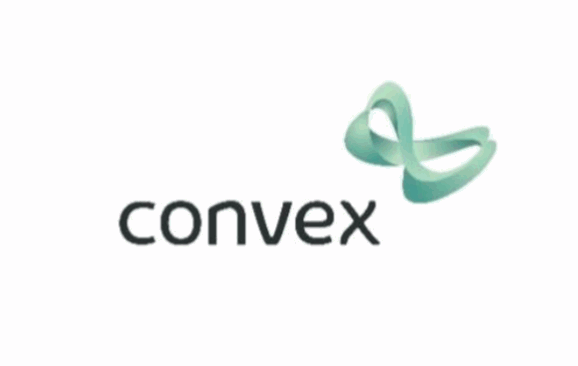 convex-group-reinsurance