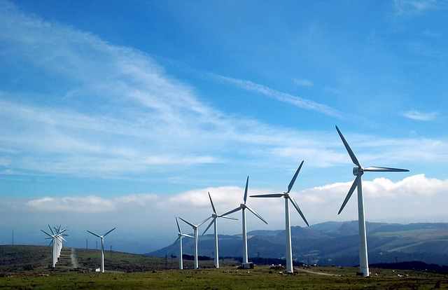 Nephila Climate takes weather risk to assist Scout wind farm financing