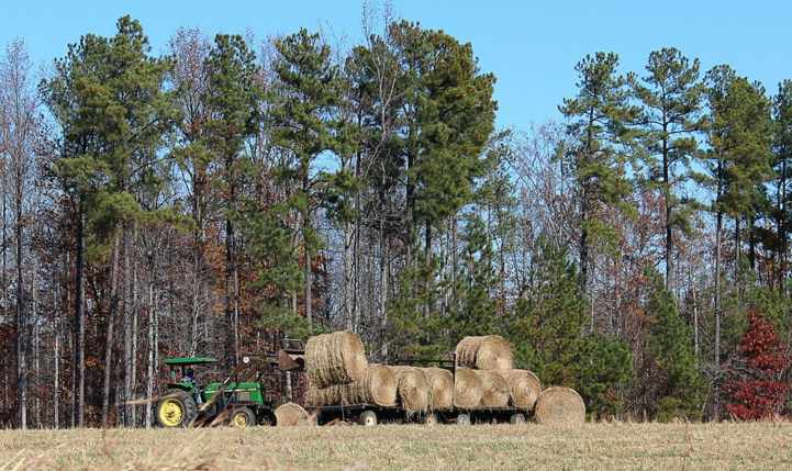making-hay-farming