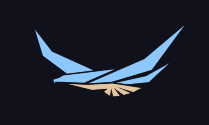 birdseyeview-logo