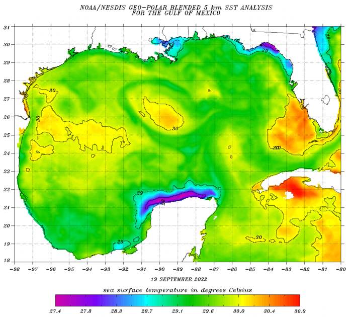 gulf-mexico-sea-surface-temperature