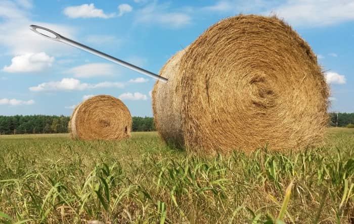 needle-haystack-find